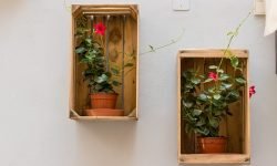 flowerpot-935972_640