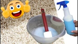nettoyer un tapis recette nettoy
