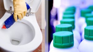Nettoyer ses WC à l'acide citrique