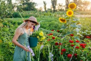 jardin-aromatique 3 jardin-aromatique