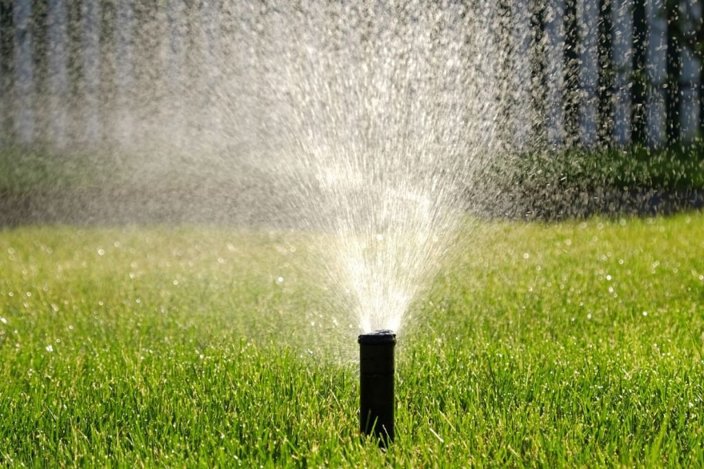 Économisez-eau-dans-jardin