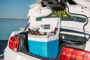 L’alimentation-électrique