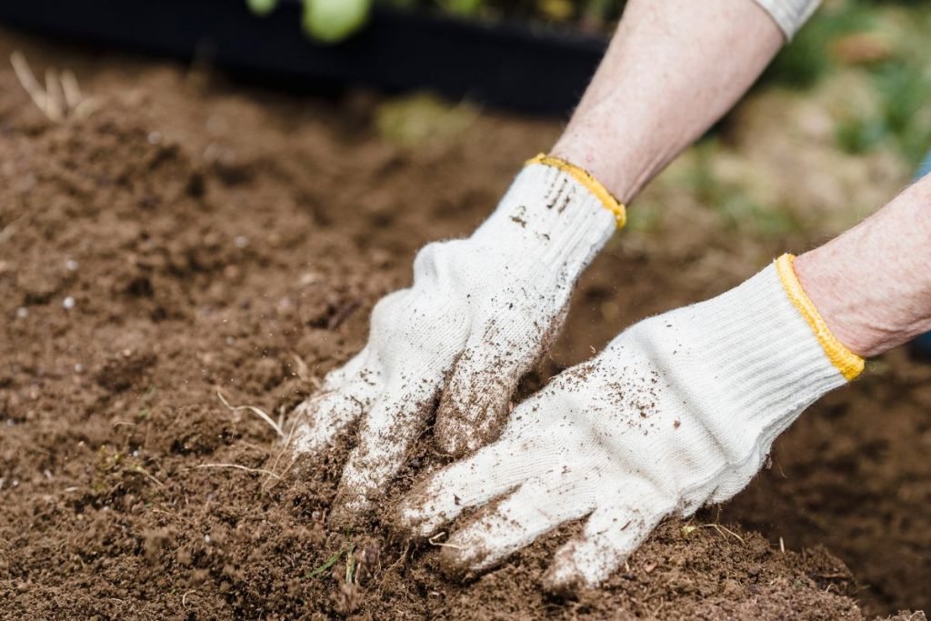faire-dans-jardin-mois-mars 