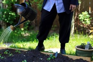 faire-passer-l’été-en-sécurité-potager