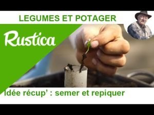 rouleau papier toilette semer re
