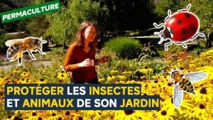 comment creer un jardin sauvage