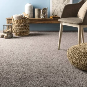 découvrez les nombreux bienfaits de la moquette pour votre intérieur : confort acoustique, chaleur sous les pieds, large choix de textures et de couleurs, et son effet apaisant sur l'ambiance d'une pièce. optez pour une moquette qui allie esthétisme et praticité pour un espace de vie agréable.