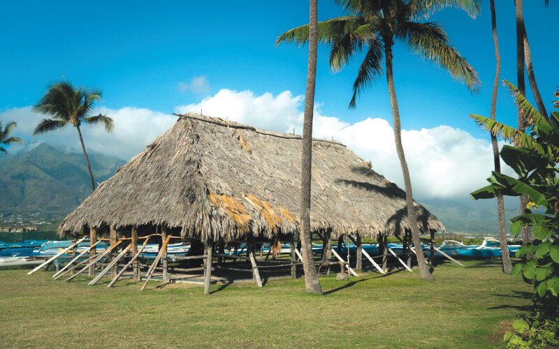 Un voyage revitalisant entre introspection et nature à Hawaï 3 découvrez un voyage introspectif à hawaï, où chaque île vous invite à explorer non seulement ses paysages époustouflants, mais également les profondeurs de votre âme. immergez-vous dans la culture locale, laissez-vous inspirer par la nature environnante et trouvez un équilibre intérieur tout en profitant des plages paradisiaques.