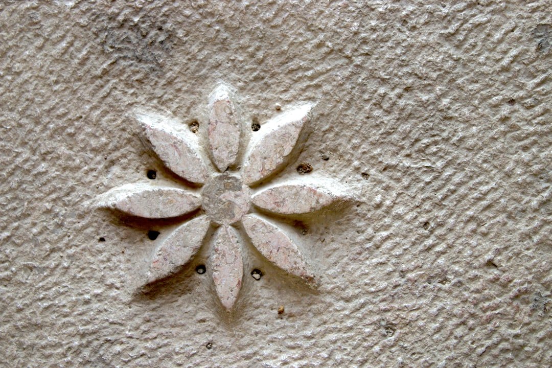 Guide d’enduits décoratifs pour un nouveau look 1 découvrez l'art du plâtre décoratif pour sublimer vos murs et plafonds avec élégance et style.