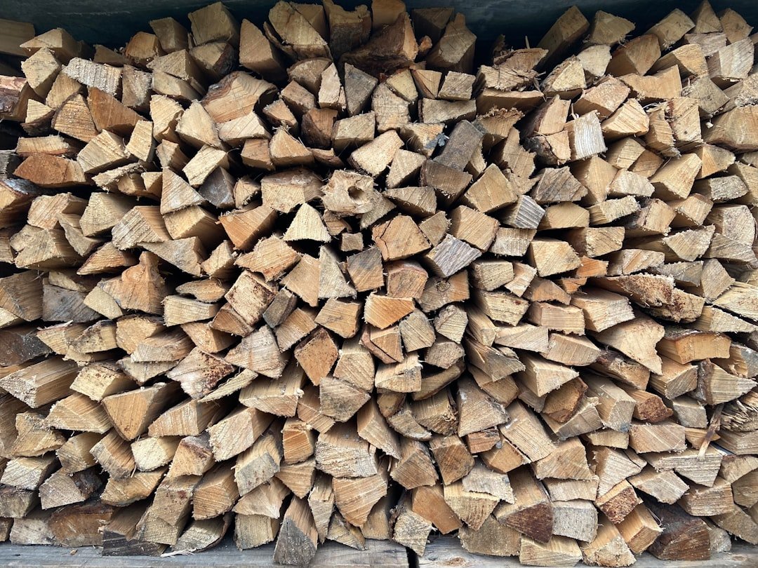 découvrez notre guide complet pour choisir le bois idéal pour la menuiserie, alliant qualité et durabilité pour vos projets artisanaux.