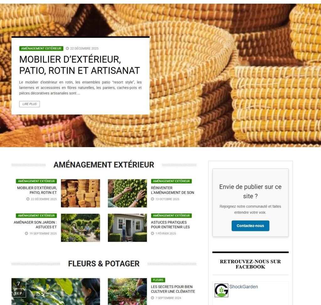 copie d'écran page d'accueil shockgarden.com