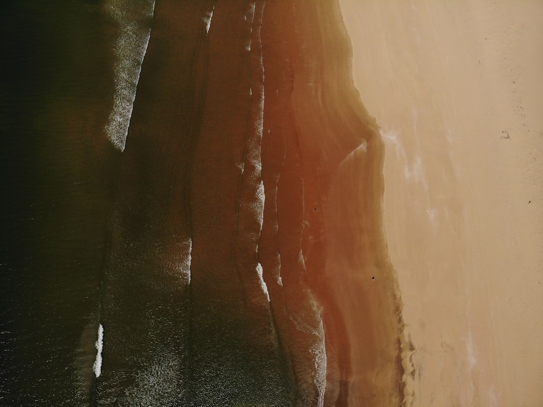 découvrez comment fabriquer facilement votre propre composter diy pour recycler vos déchets organiques et créer un compost riche en nutriments, idéal pour votre jardin.