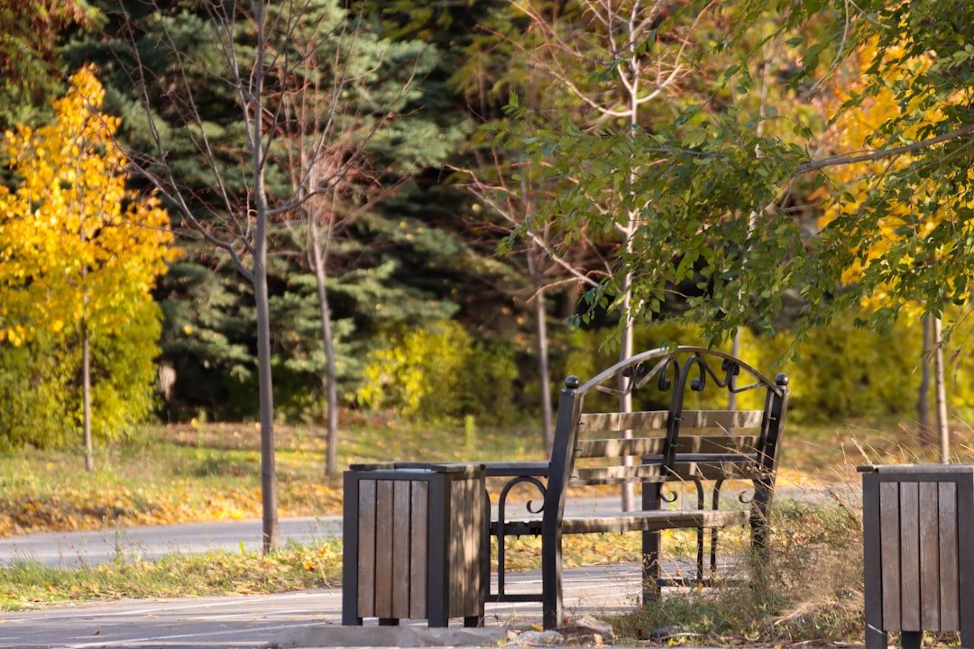 Allée pavée sur lit de sable 2 découvrez une allée pavée charmante, parfaite pour ajouter du caractère et du style à votre extérieur.