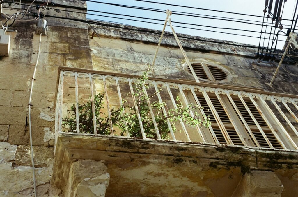 terrasse sécurisée avec pergola en fer forgé, alliant élégance et protection pour un espace extérieur convivial et sûr.