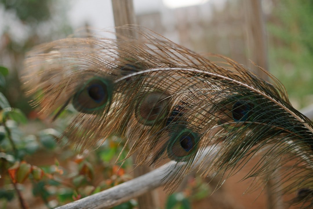 découvrez les musaraignes, petits mammifères insectivores fascinants, et leur rôle essentiel dans l'écosystème.