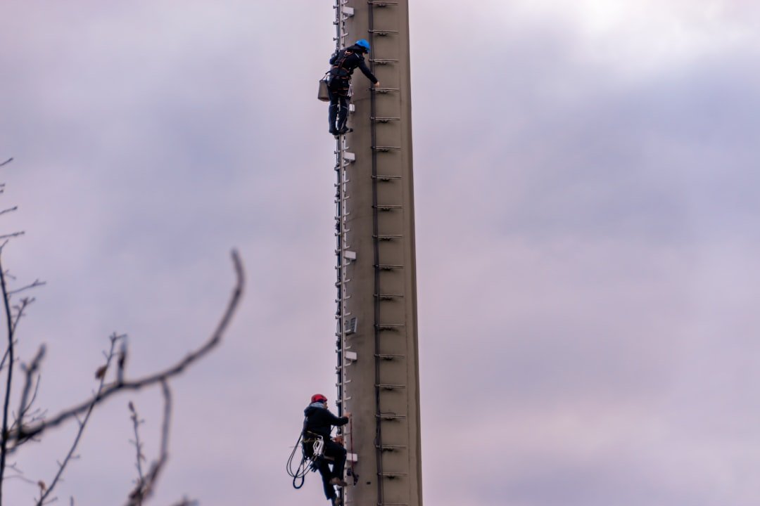 échelle en mélèze de sibérie : robustesse et durabilité naturelles pour vos travaux en hauteur.