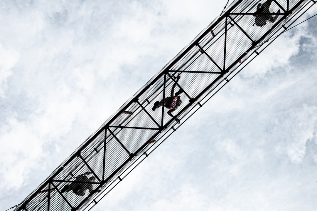 échelle en mélèze sibérien, robuste et durable, idéale pour une utilisation intérieure et extérieure. un accessoire pratique et esthétique pour tous vos travaux.