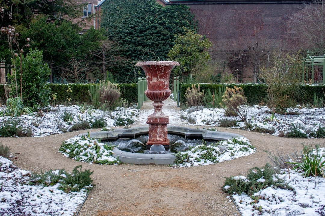 installation de fontaines de jardin : apportez une touche d'élégance et de sérénité à votre espace extérieur avec nos solutions sur mesure.