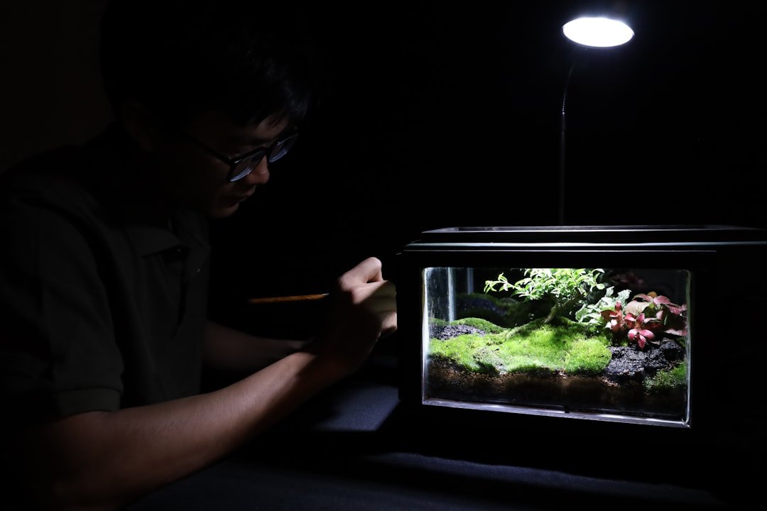 découvrez le projecteur pour smartphone : une solution compacte et innovante pour projeter vos vidéos et présentations partout, facilement et en haute qualité.