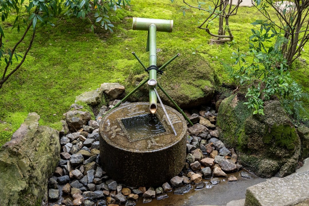 découvrez notre système d'arrosage automatique efficace et facile à installer, conçu pour maintenir vos plantes parfaitement hydratées sans effort.