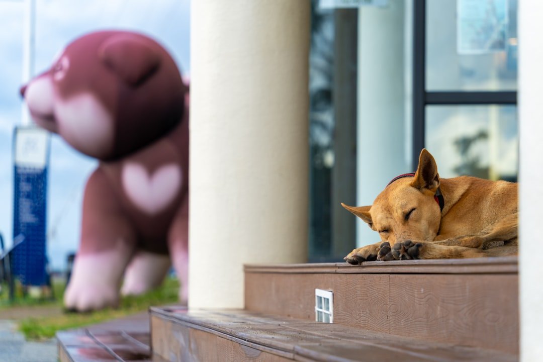 guide d'assemblage d'une statue de chien : instructions étape par étape pour monter facilement votre statue canine.