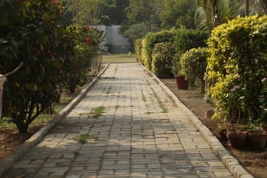 découvrez nos bordures de jardin en béton durables et esthétiques, idéales pour délimiter vos espaces verts avec style et résistance.