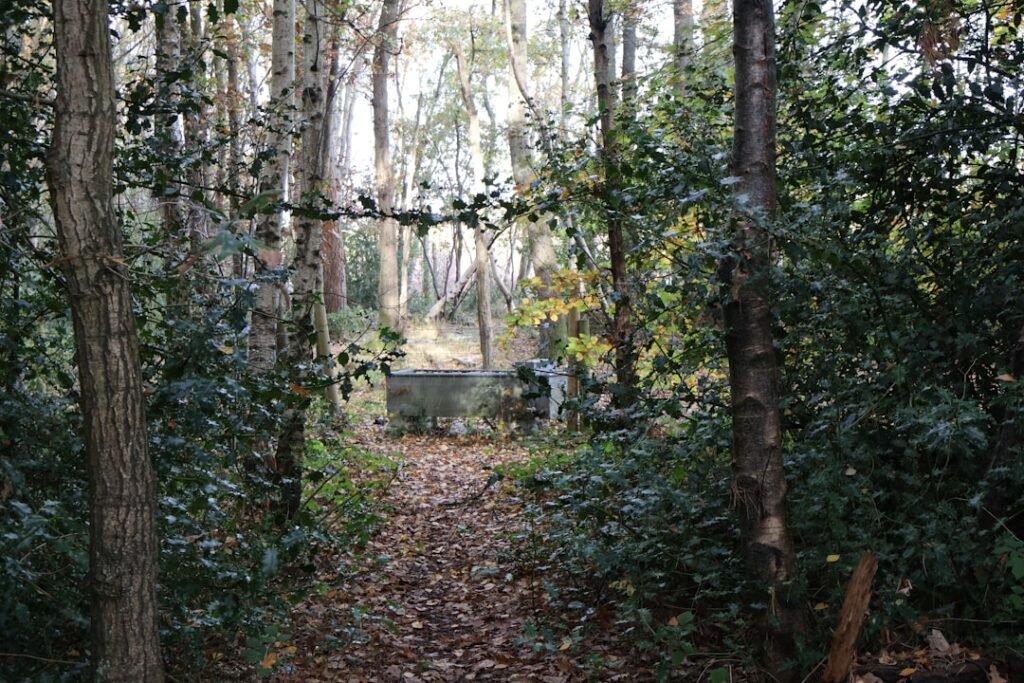 découvrez l'alliance parfaite entre bois et béton pour des constructions durables, esthétiques et écologiques.