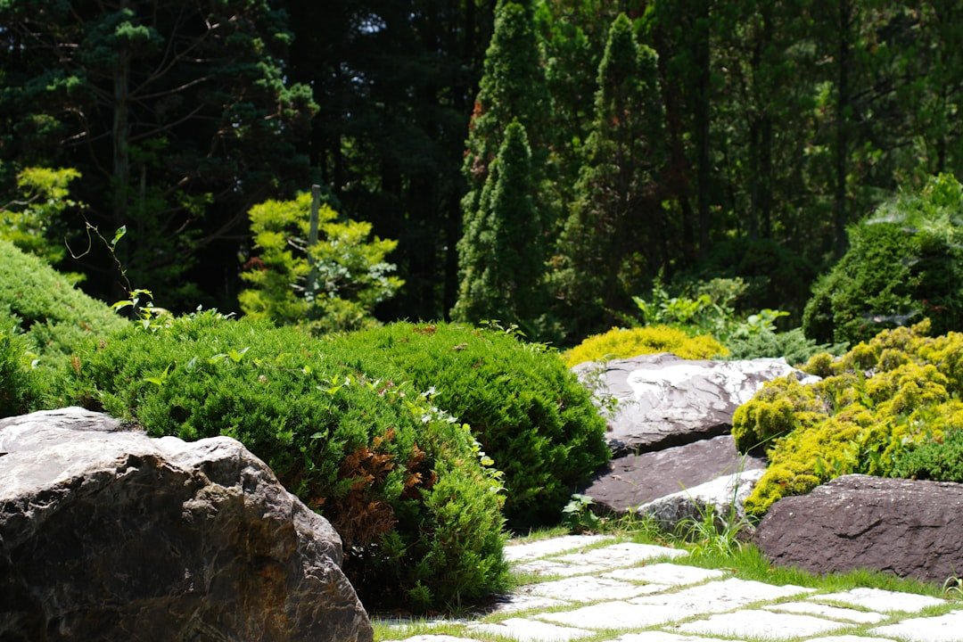 découvrez des conseils pratiques et créatifs pour concevoir un aménagement paysager harmonieux et esthétique, adapté à votre espace extérieur.