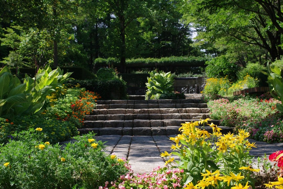découvrez nos conseils essentiels pour réussir l'aménagement paysager et transformer votre jardin en un espace harmonieux et accueillant.