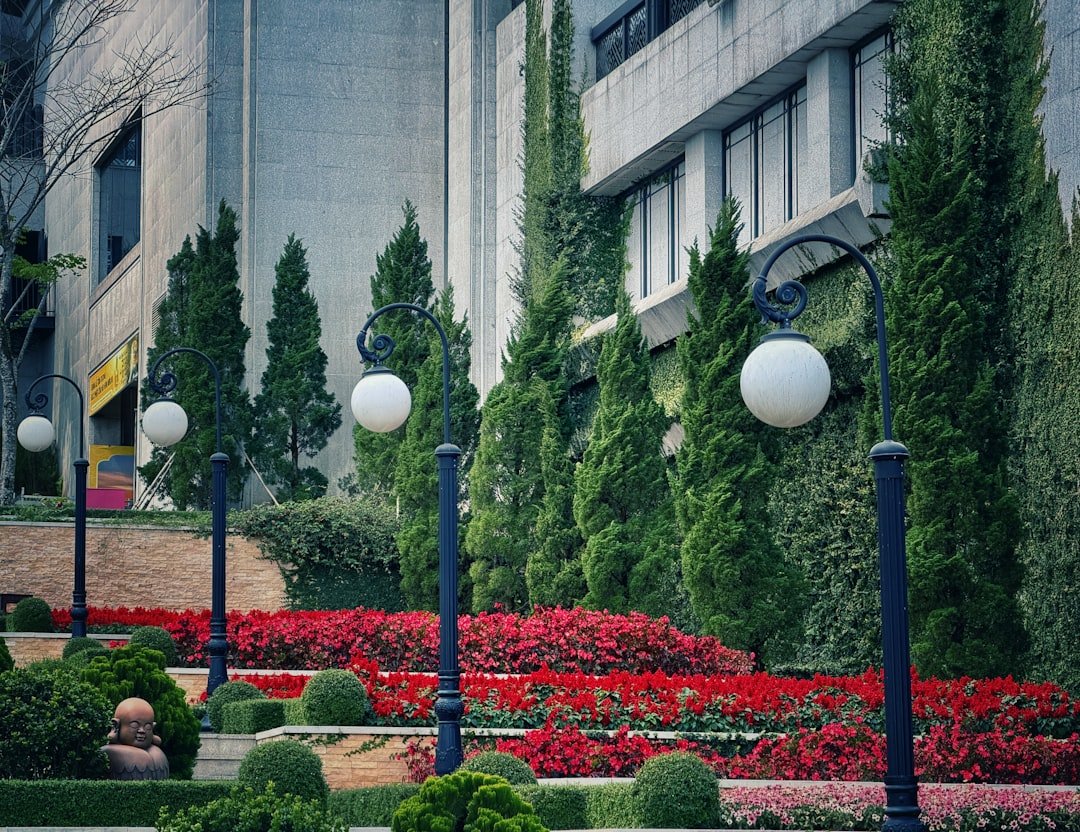 découvrez des conseils essentiels pour concevoir des aménagements paysagers harmonieux et esthétiques, adaptés à votre espace extérieur.