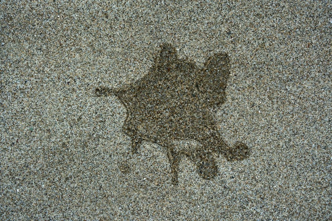 découvrez nos astuces efficaces pour enlever toutes les taches tenaces et retrouver des vêtements impeccables.