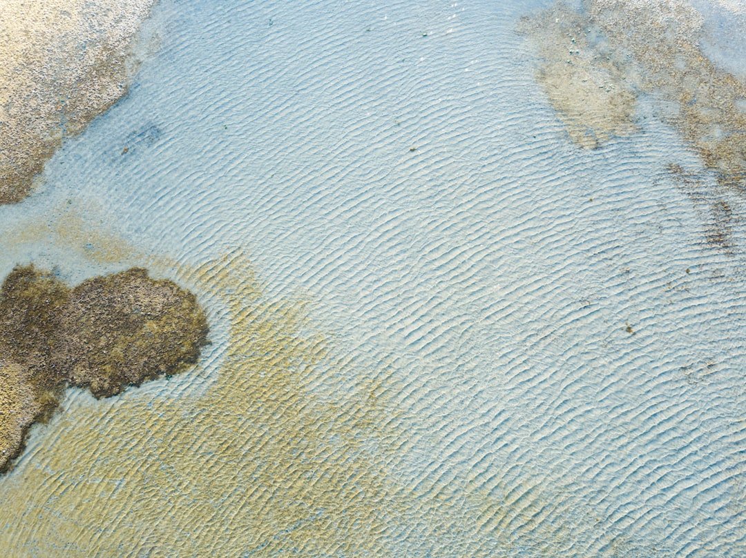 découvrez des méthodes efficaces pour enlever toutes les taches tenaces sur vos vêtements et textiles. astuces et conseils pour un nettoyage impeccable.