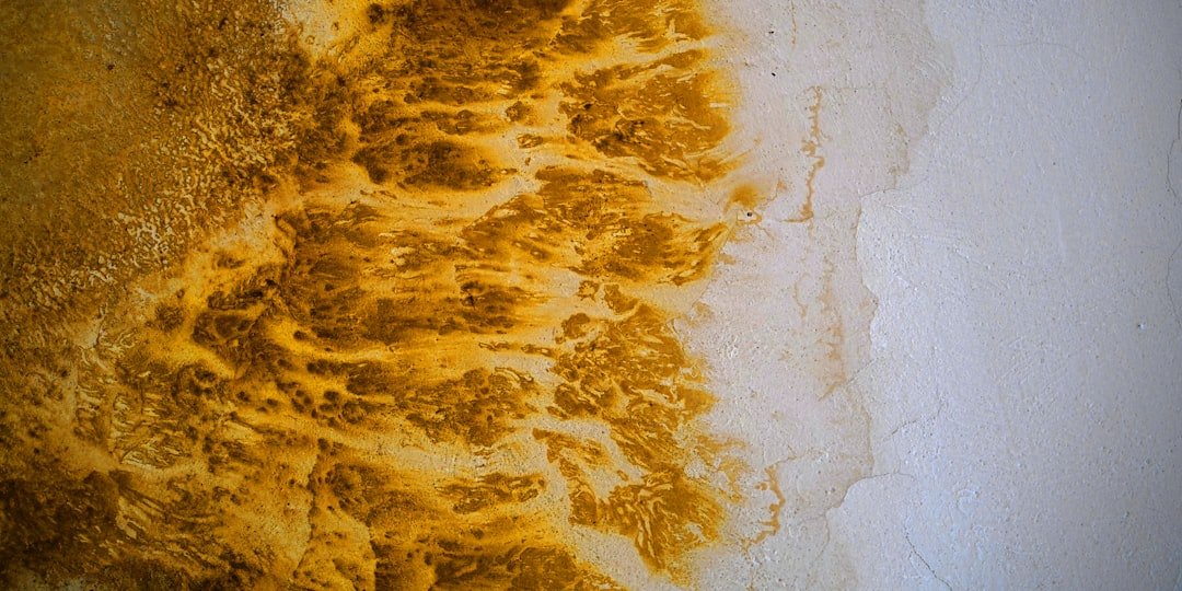 découvrez nos méthodes efficaces pour enlever les taches de goudron sur vos vêtements et surfaces, et redonnez-leur un aspect propre en un rien de temps.