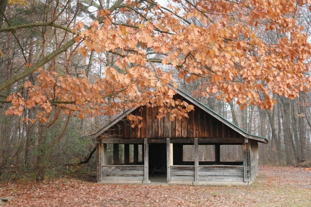 construction de canopée en bois : guide complet pour concevoir et réaliser des structures en bois durables et esthétiques, idéales pour votre espace extérieur.