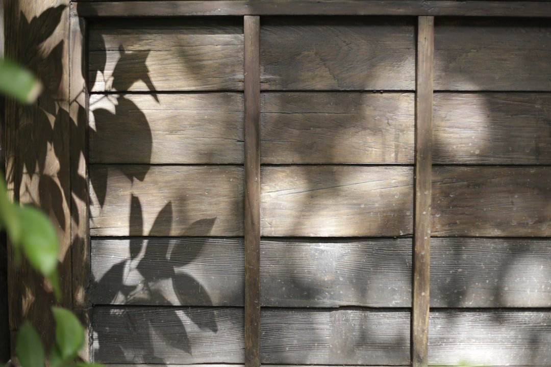écran d'intimité en bois élégant et durable, idéal pour créer des espaces privés extérieurs tout en décorant votre jardin ou terrasse.