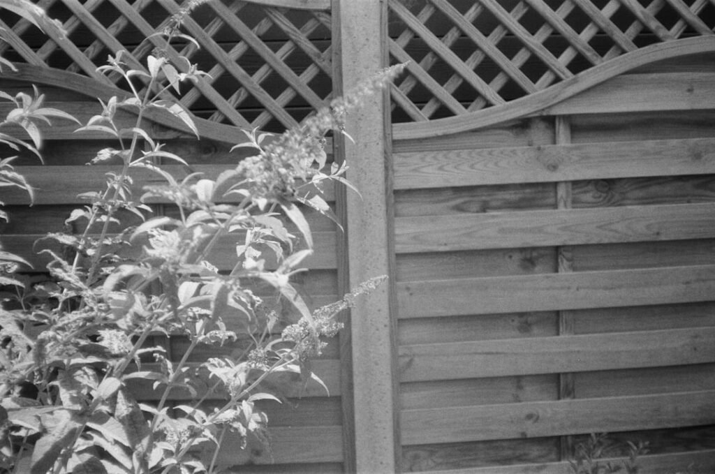 écran d'intimité en bois élégant et naturel, idéal pour délimiter votre espace extérieur tout en ajoutant une touche chaleureuse et esthétique à votre jardin ou terrasse.