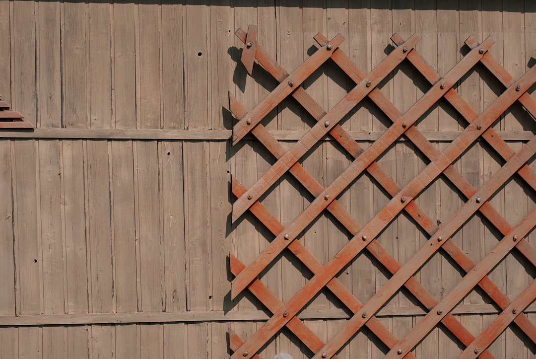 écran d'intimité en bois élégant et naturel, idéal pour créer un espace privé dans votre jardin ou terrasse tout en ajoutant une touche déco chaleureuse.
