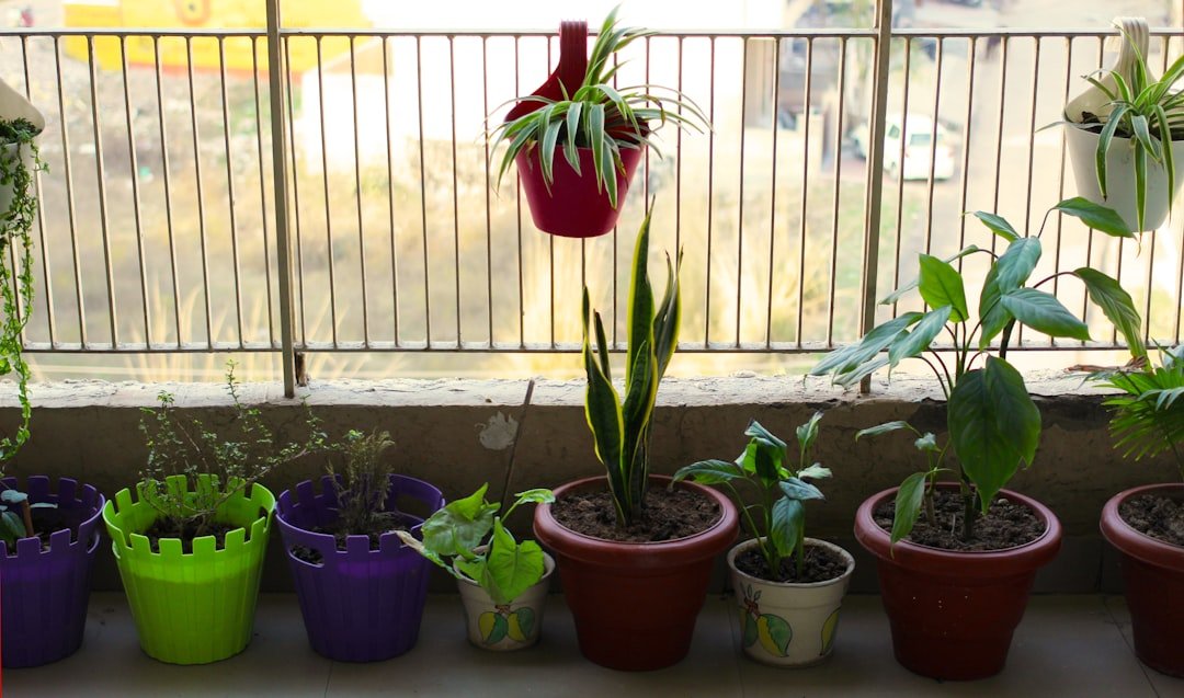 découvrez comment choisir la bonne longueur de goutte pour votre balcon afin d'éviter les éclaboussures et protéger vos murs efficacement.