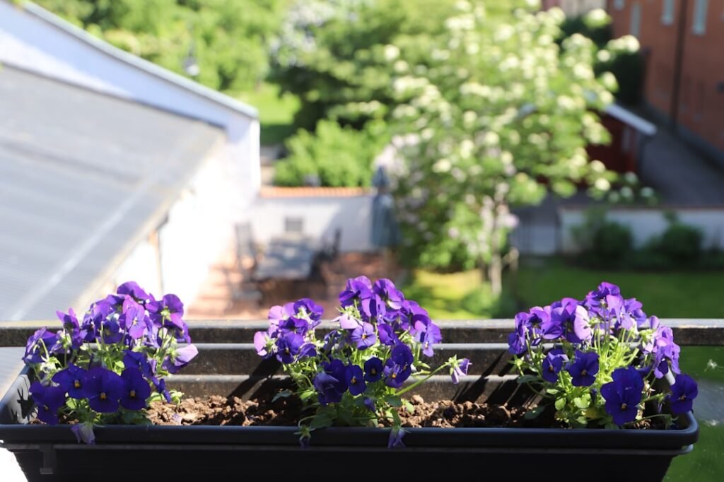 découvrez comment déterminer la longueur idéale de goutte d'eau pour votre balcon afin de protéger efficacement vos murs et profiter d'un espace extérieur agréable.