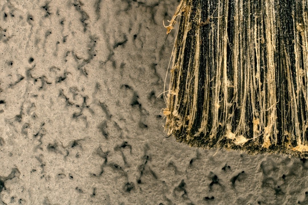 service professionnel de nettoyage de stucco pour restaurer et protéger l'aspect extérieur de votre bâtiment avec efficacité et soin.