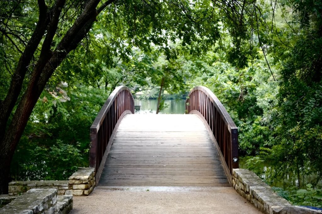 Construire une passerelle en bois : astuces et plan détaillé découvrez les techniques et étapes essentielles pour la construction de ponts en bois, alliant durabilité et esthétique naturelle.