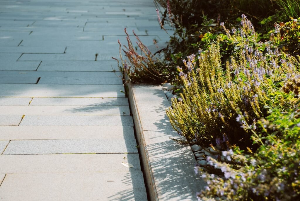 Guide : délimiter les bordures d’un jardin avec style découvrez nos solutions pour délimiter et embellir votre jardin avec des bordures de jardin élégantes et durables. idéales pour organiser vos espaces verts et protéger vos plantations.