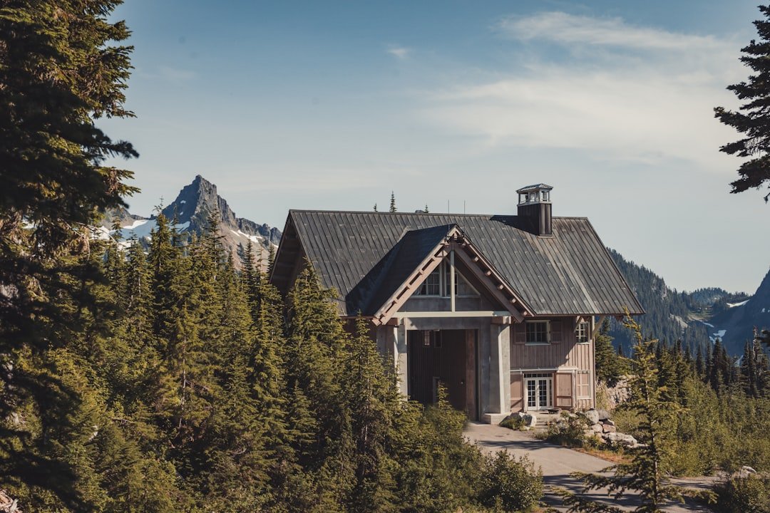 construction de chalets en blocs béton et bois : alliez robustesse et esthétique naturelle pour un habitat durable et chaleureux.