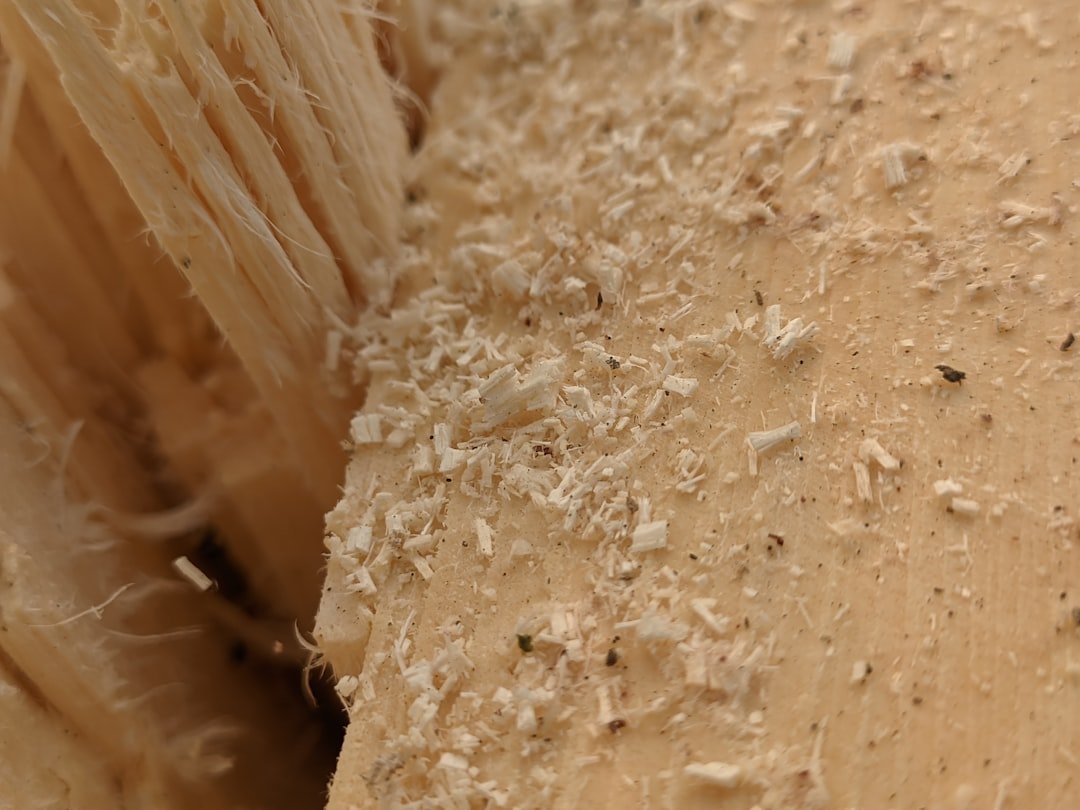 Utiliser et affûter un racloir à bois : astuces pour menuiserie 2 découvrez notre racloir en bois, l'outil idéal pour lisser, nettoyer et préparer toutes vos surfaces avec efficacité et respect de l'environnement.