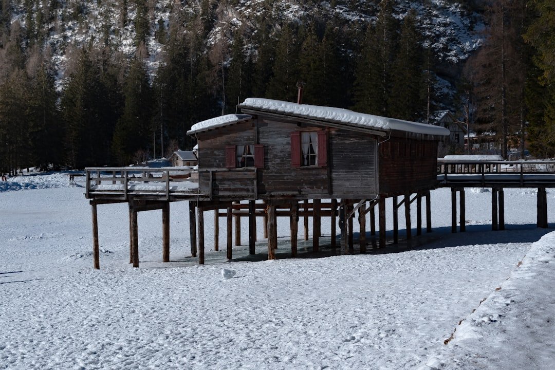 découvrez une charmante cabine en bois sur pilotis, alliant confort rustique et immersion dans la nature pour une escapade unique.