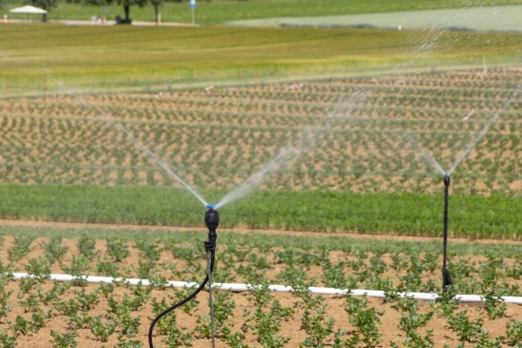 Conseils et avis sur l’arrosage enterré : efficacité et économie découvrez les avantages de l'irrigation goutte-à-goutte pour optimiser l'utilisation de l'eau et améliorer la croissance de vos cultures de manière durable et efficace.