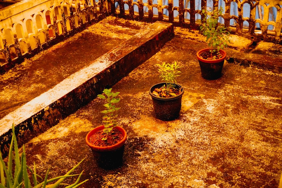 découvrez des idées inspirantes de design pour petites terrasses, optimisez votre espace extérieur avec style et fonctionnalité.
