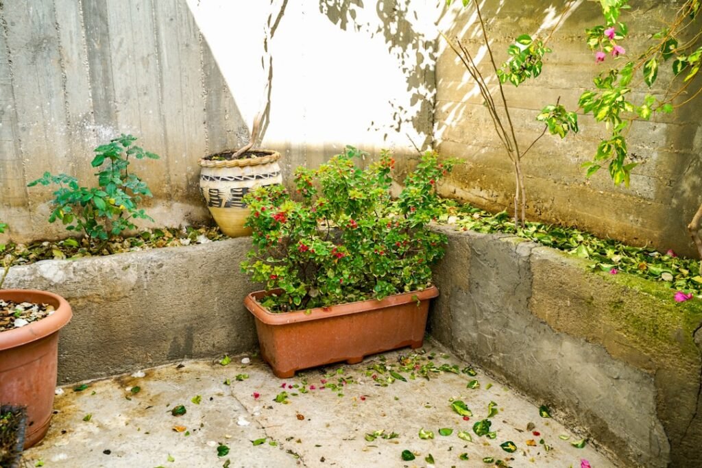 découvrez des idées innovantes et élégantes pour aménager une petite terrasse, optimisant l'espace et créant un coin convivial et tendance.
