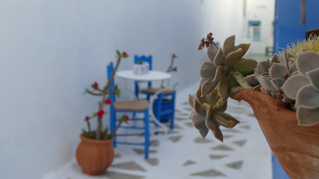 découvrez des idées de design pour petites terrasses afin d'optimiser l'espace extérieur avec style et fonctionnalité.
