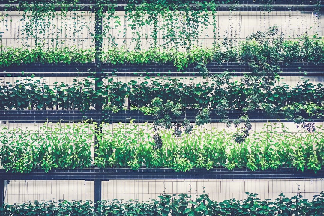Comment réaliser un potager vertical hydroponique 2 découvrez un jardin hydroponique vertical innovant pour cultiver vos plantes de manière écologique et efficace, même dans les petits espaces.